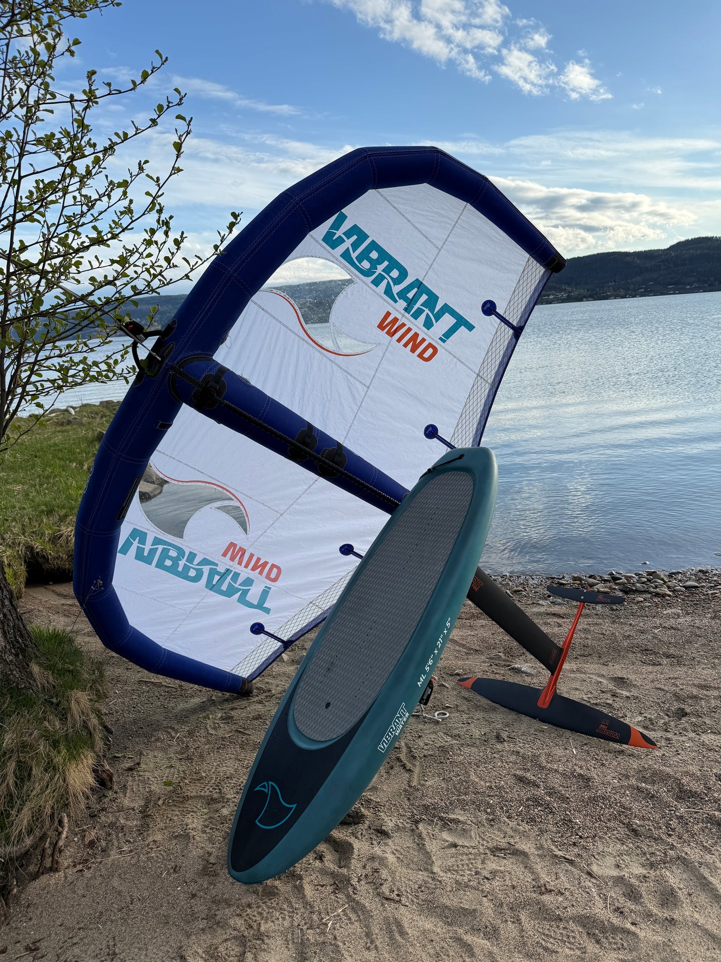 VIBRANT SURF - Wingfoil Carbon Pro pakke komplett