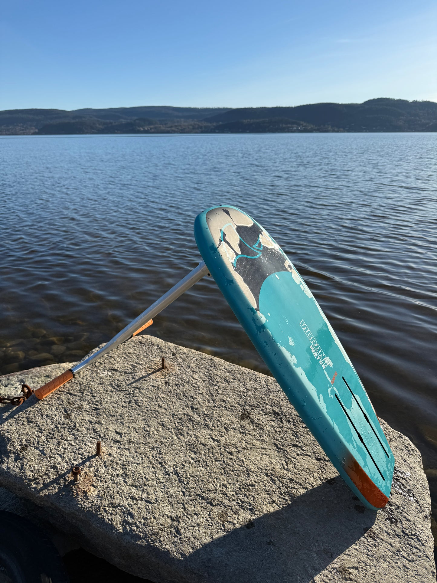 VIBRANT WATER Scoot- Pump 90