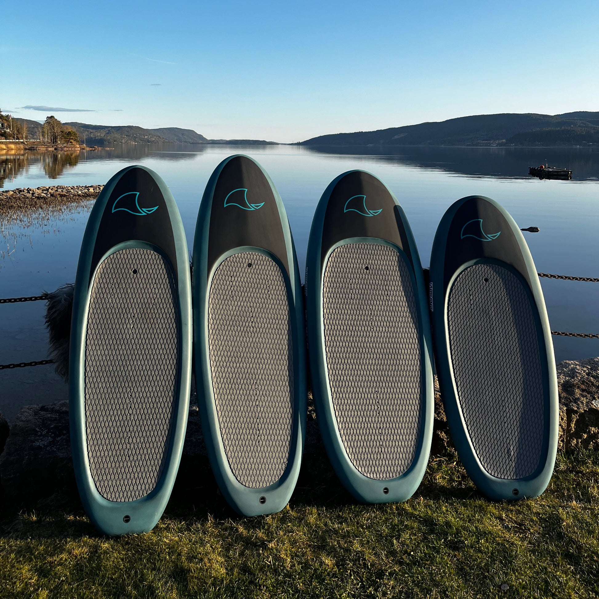 Vibrant Surf carbon brett 2025