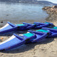 VIBRANT SURF - Wingfoil pakke komplett